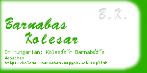 barnabas kolesar business card